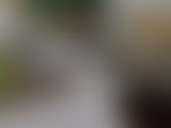 Manobra arriscada é uma das principais causas de mortes no trânsito