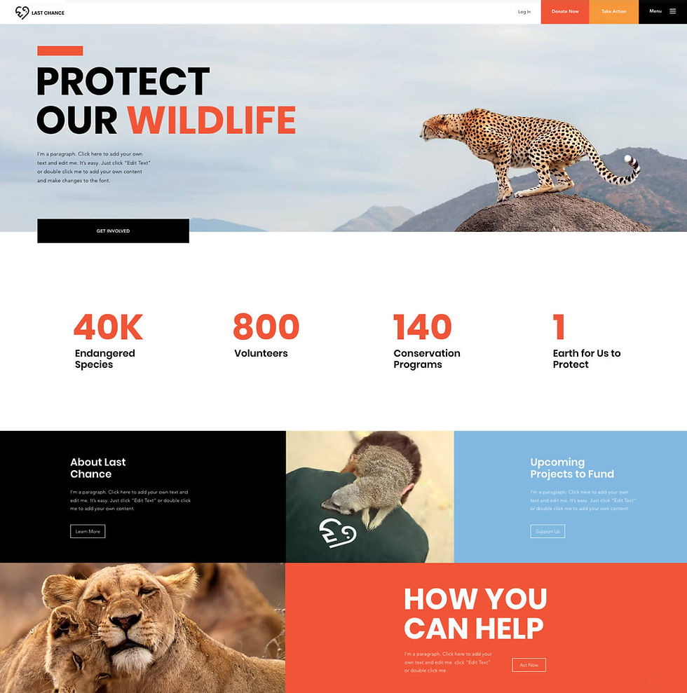 Template for a site made with the nonprofit website builder.
