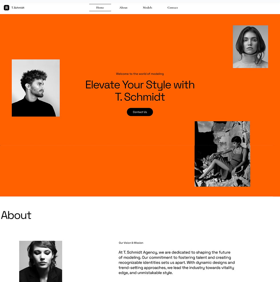 Website template for a modeling agency portfolio