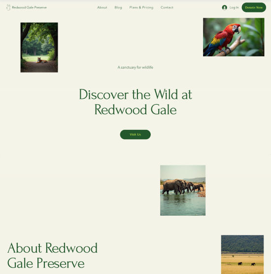 Website template for a non-profit company website 
