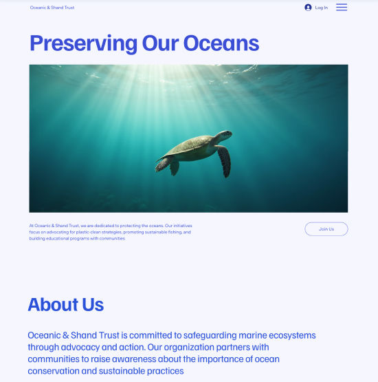 Website template for a non-profit company website 