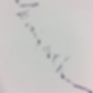 43629073_10216981694796205_6450562599623