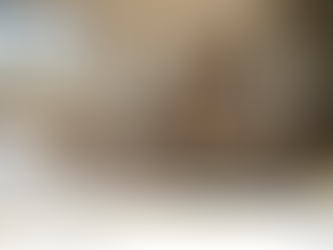 durable flooring in Redmond OR high traffic living area