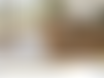 dog on luxury vinyl flooring in Redmond OR home