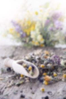 AdobeStock_67203442.jpeg