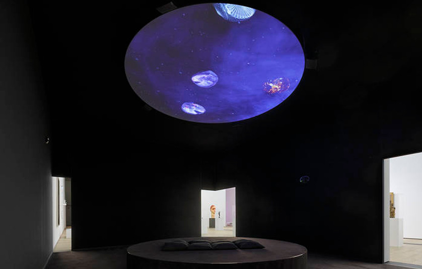 Face-to-Face with Images. Draiflessen Collection, Henning Rogge.jpeg