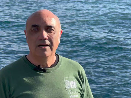 Protecting Sharks and Rays in Angola -  Science, Education and Partnerships