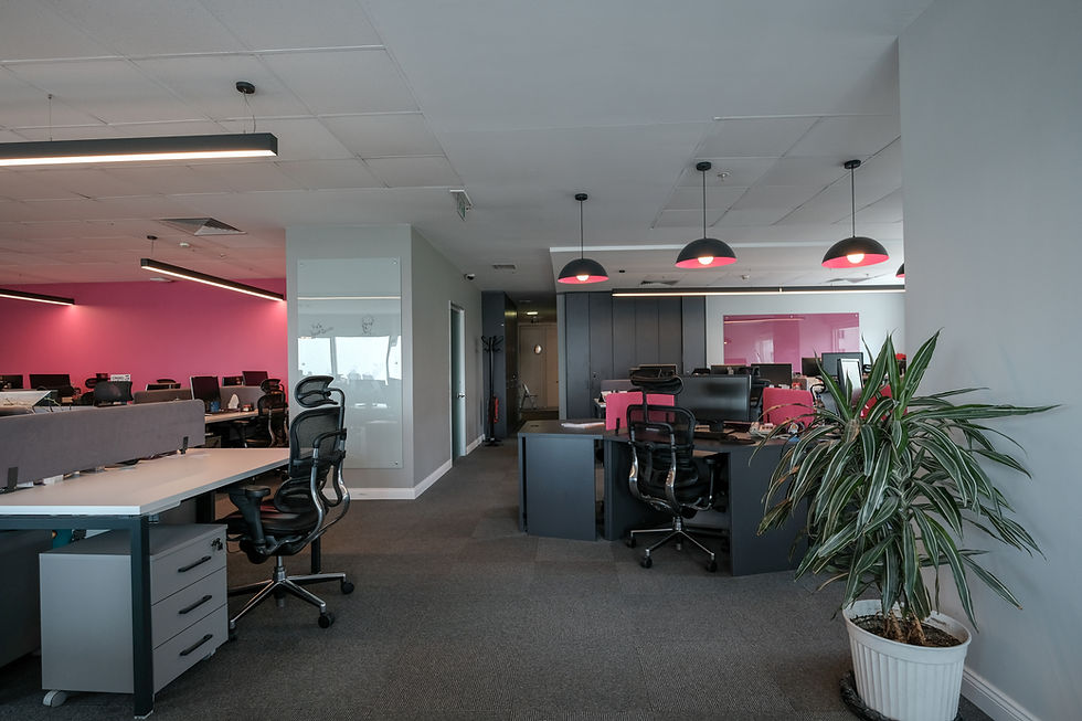 Reckitt Benckiser, Istanbul