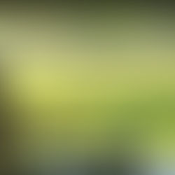 The Big Picture Window (Day 95)