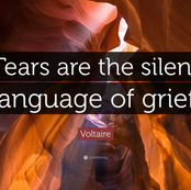 Writing Through the Tears (Day 155)