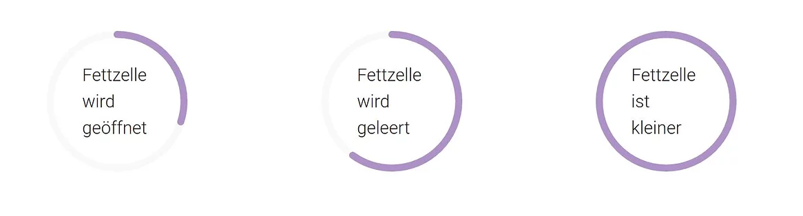 Wie funktioniert es .webp