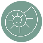 SacredSelfHolistic Logo