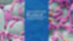 Macrophotography of microbes behind the Bluebird logo - enhancing patient safety
