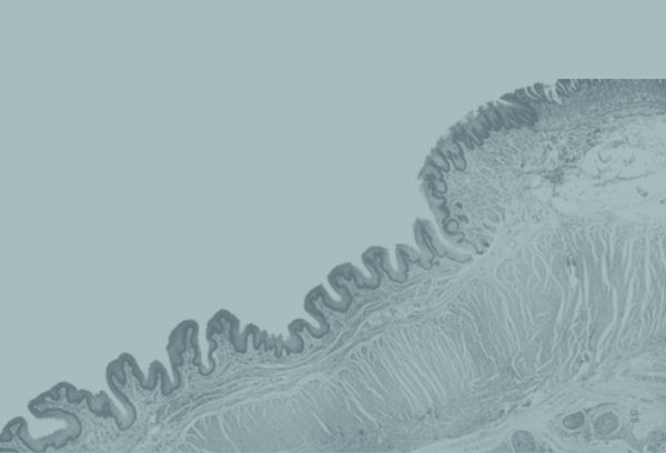 mint-green-research.jpg