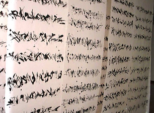 11.1 Memorias del olvido, 2004, detalle, arte instalacion. 280 x 300 cm. - Copy.JPG