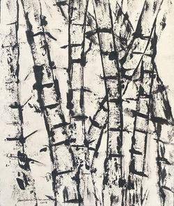 Serie Reino Verde 2019