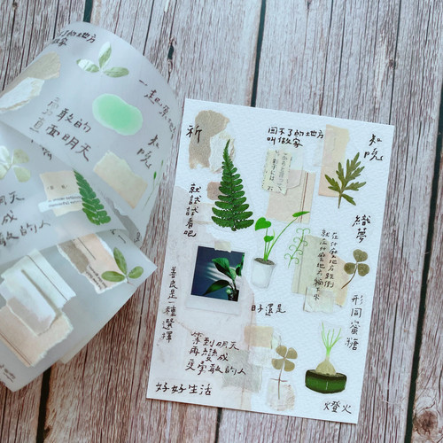 Shiwu Studio Collage 08 Matte PET Tape | oneministore