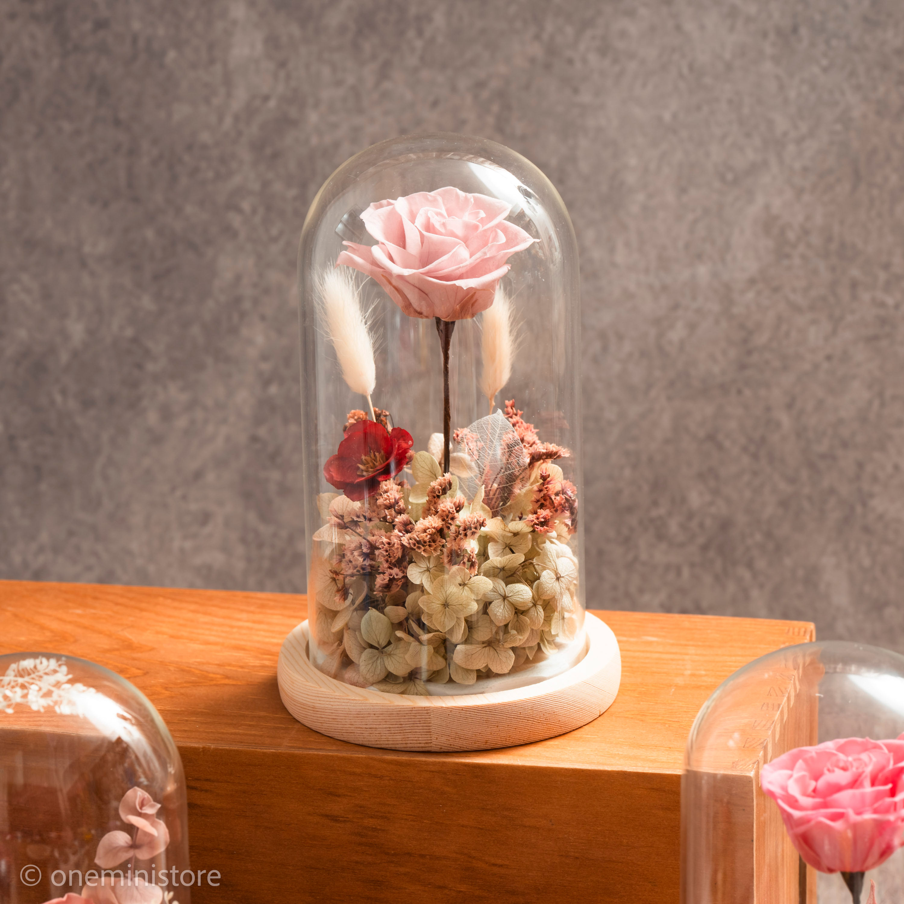 Preserved Rose and Flowers Glass Dome (S)