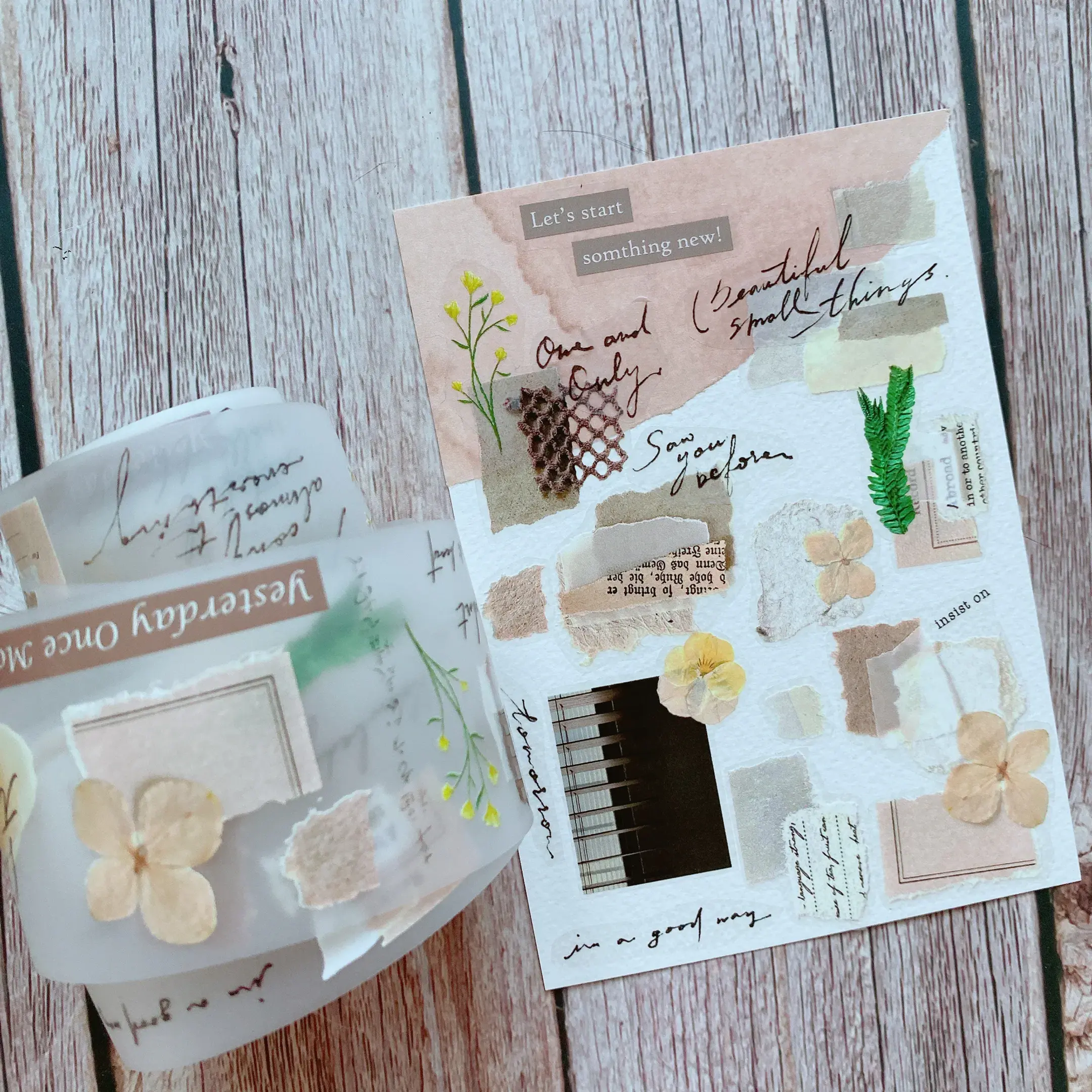 Shiwu Studio Collage 09 Matte PET Tape