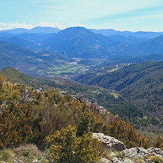 Les siréniens, fossiles à observer dans le Verdon