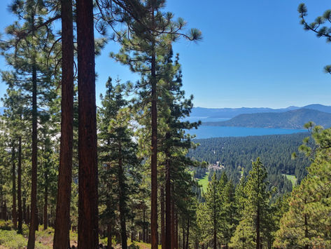 Tahoe City Real Estate Market: A 5 Year Lookback at the Real Estate Market