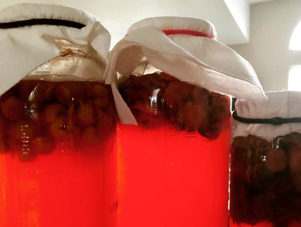 FRUIT SCRAP VINEGAR