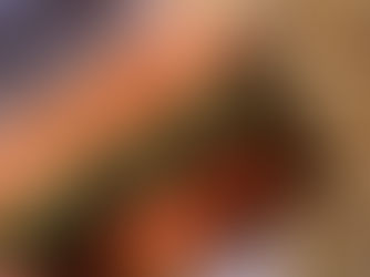 PRESERVED LEMON RELISH