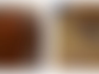 TROUBLESHOOTING KOMBUCHA MOLD