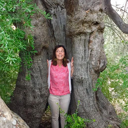 Limnisa writing olivetree.jpg