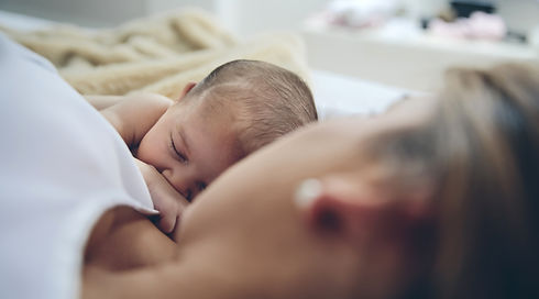 AdobeStock_251517002.jpeg