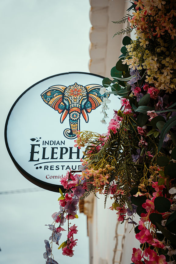 INDIAN ELEPHANT _ABDUFILMS-12.jpg