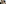 AdobeStock_220486127 (1).jpeg