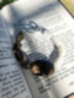 Thumbnail: Bloom in the Dark Strength Bracelet with black cherry blossom agate, smoky quartz, and white jade beads