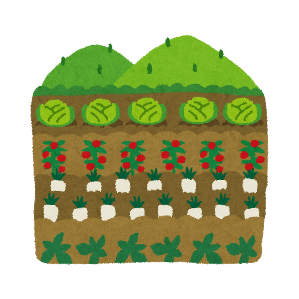 Garden 1.png