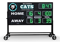 GOAL 1 (2).png