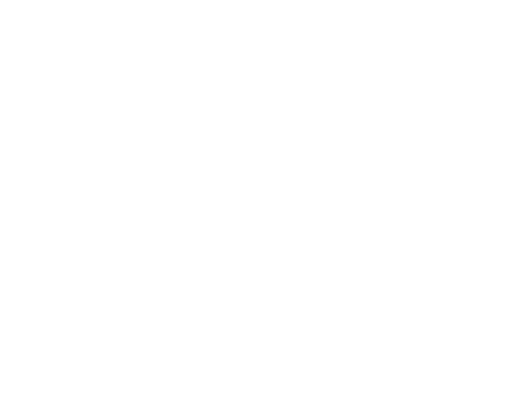 Noisy Creations white logo