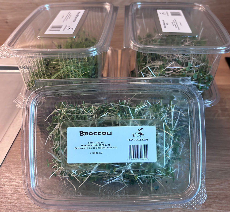 Thumbnail: Broccoli scheuten