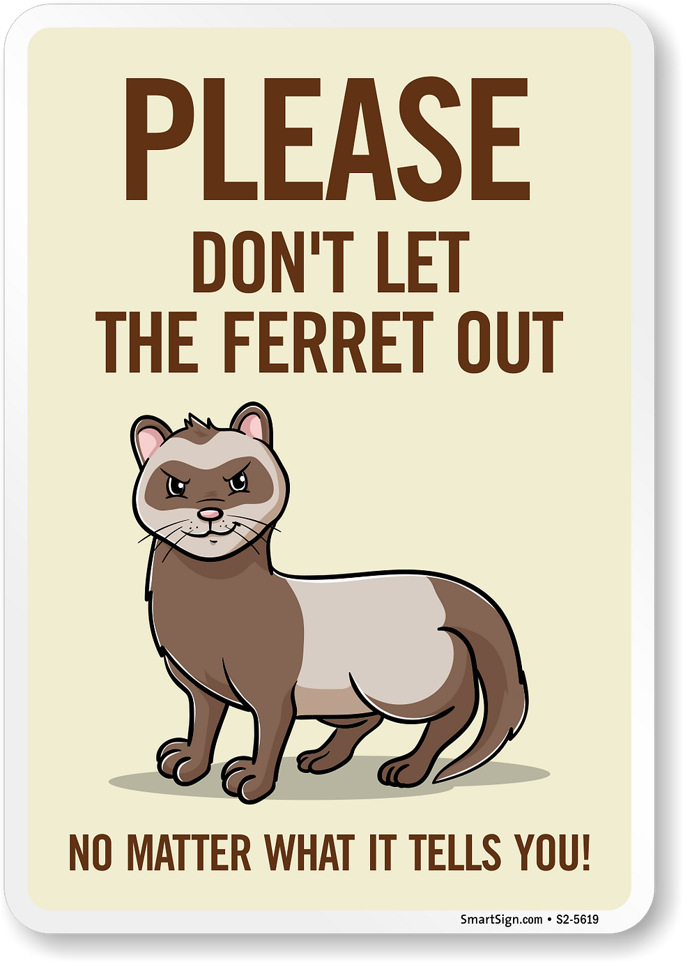 Ferret Show