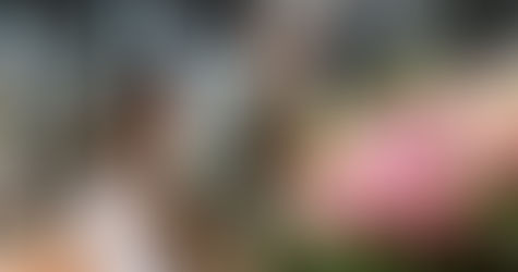 Man and woman working at a florist shop.