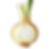 yellow onion.png