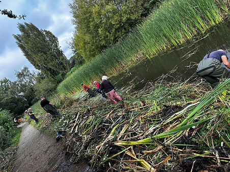 Saturday 16th September - Joint Working Party with Grantham Canal Society & Friends of the Lady Bay/ West End Volunteers headed up by Verity Butler