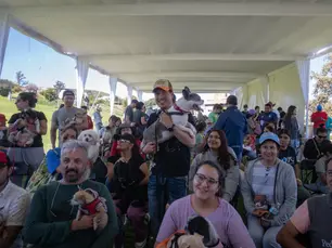 Municipio de El Marqués realizará 10 mil esterilizaciones gratuitas para perros y gatos
