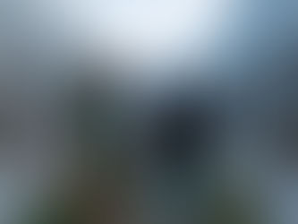 El Marqués consolida su liderazgo nacional en materia de bienestar y protección animal