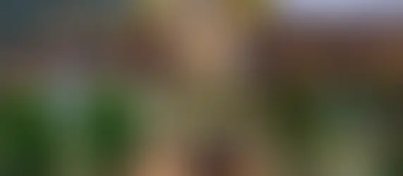 Querétaro proyecta aumentar el territorio como área natural protegida