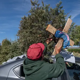 El Marqués arrancará campaña de recolección de Árboles de Navidad 2026