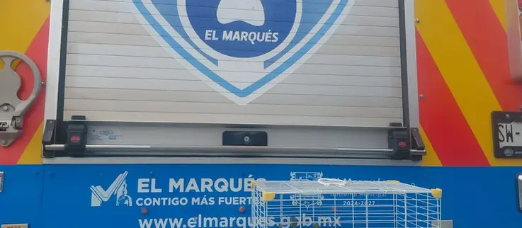 Aseguran iguanas y tortugas por presunta venta irregular en El Marqués