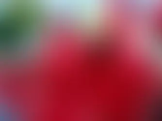 Alistan operativos en Centro Histórico por Semana Santa en Querétaro