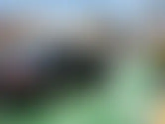 Si invades la ciclovía en Querétaro te multarán aunque no haya agente vial y esto podrías pagar