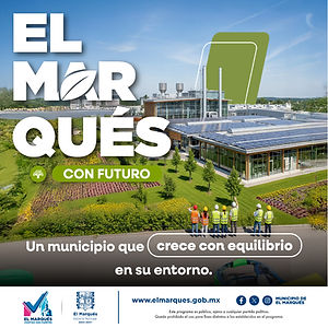 SCE_INFOMEDIA 450 x 450 px.jpg