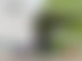 Clausura El Marqués colegio por incumplimiento de normatividad, priorizando la seguridad de las y los estudiantes